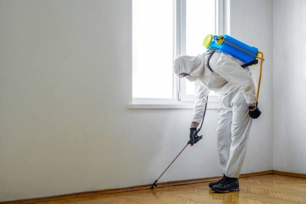 Pest Control for Restaurants in Hibbing, MN